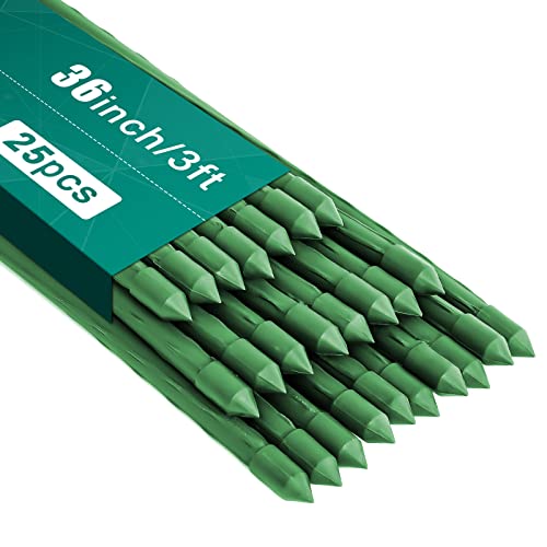 41E3DjoKnxL.jpg FEED GARDEN Garden Stakes 36 Inch 3ft 25 Pack, Sturdy Plant Metal Sticks Support, Plastic Coated Plant Stakes, Tomato Stakes, Beans, Trees - Image 1